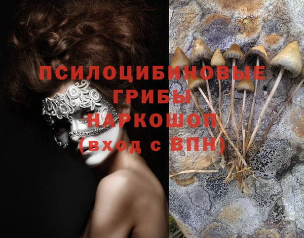 ALPHA PVP Медвежьегорск