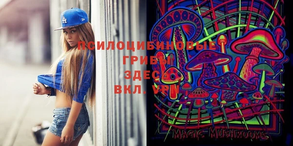 ALPHA PVP Медвежьегорск